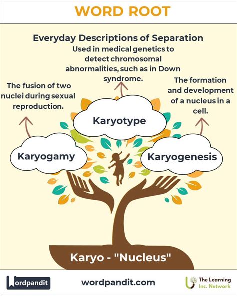 karyo meaning tagalog|KARYOS: Definition of the Tagalog word karyos in English..
